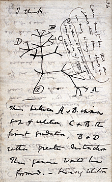 Drafting "On The Origin of Species"