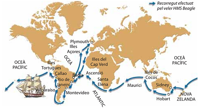 Inici Bloc 3: origen de la vida i evolució