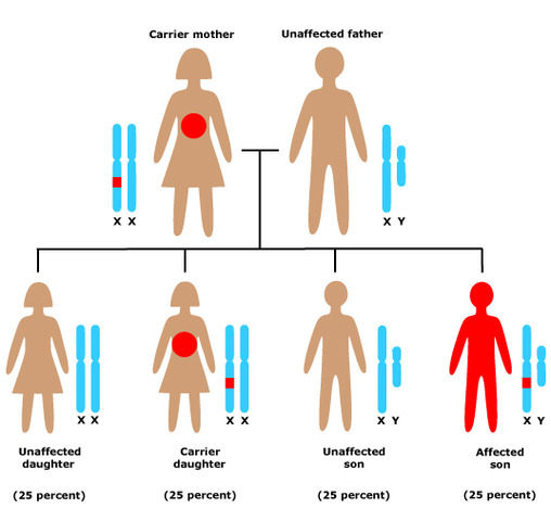 Discovery of Genetic Inheritance Patterns