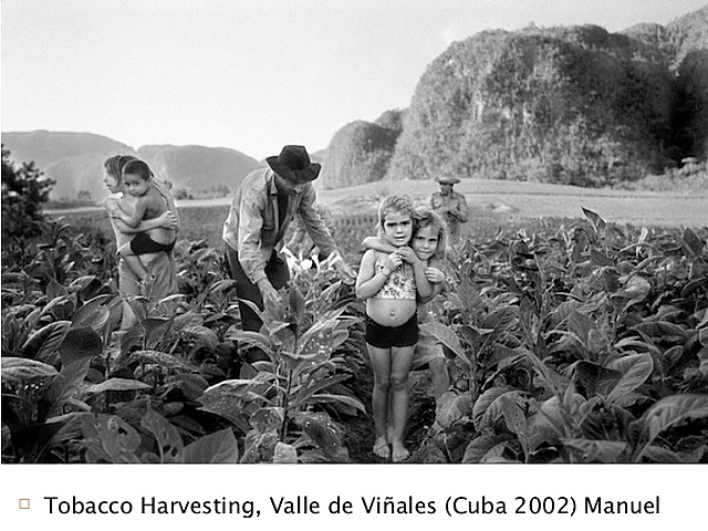 Photography trends in the 20th century