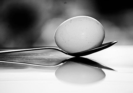 Artistic trends / themes in photography in the 21st century