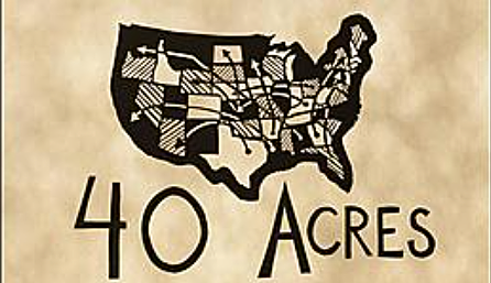 40 Acres and a mule
