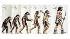 Timeline: Human Origins