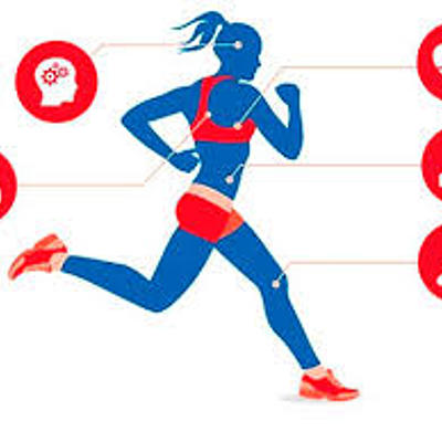 Timeline: EDUCACIÓN FÍSICA