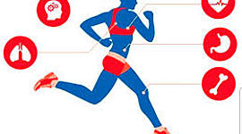 Timeline: EDUCACIÓN FÍSICA