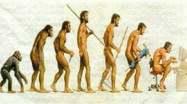 Timeline: History of Hominids (Seidel Timeline Project Block 2)