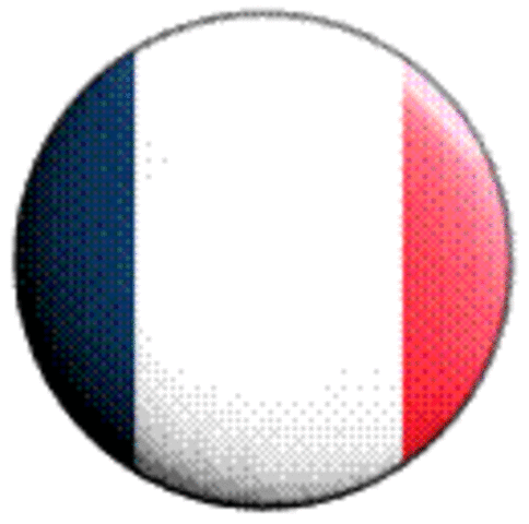 Nace el Centro Nacional de Enseñanza a Distancia en Francia