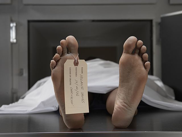 Stark's Family Identify Body