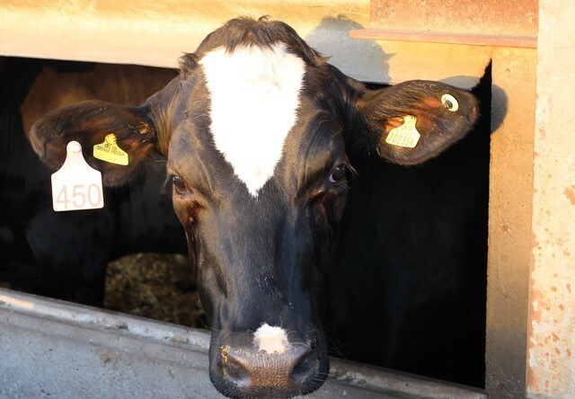 2018 Great Baradley Photo Competition