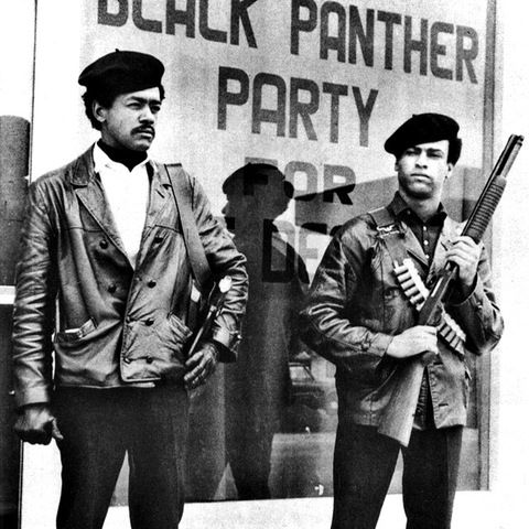 The Black Panthers