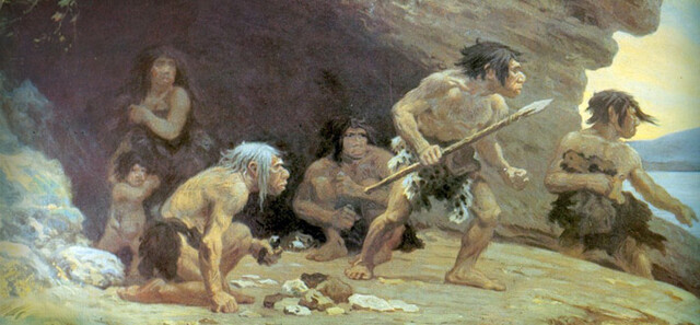 Homo neanderthalensis