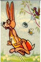 Mais, où est la tortue?