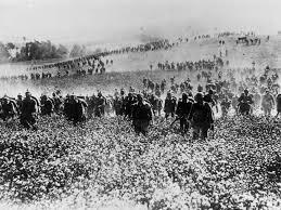 Battle of the Ardennes