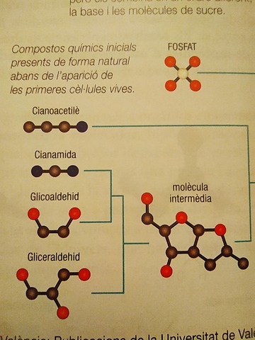 Formació d'ARN sense catalitzadors biològics