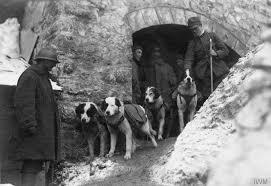 Third Battle of the Isonzo