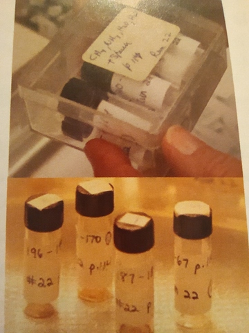 Avenços en la Química Prebiòtica