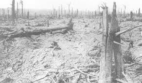 Battle of Delville Wood