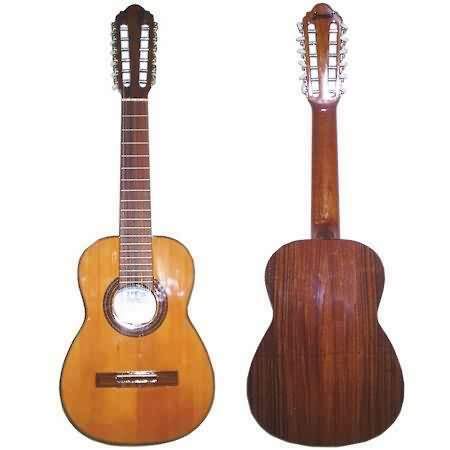 Familia de la guitarra en América Latina