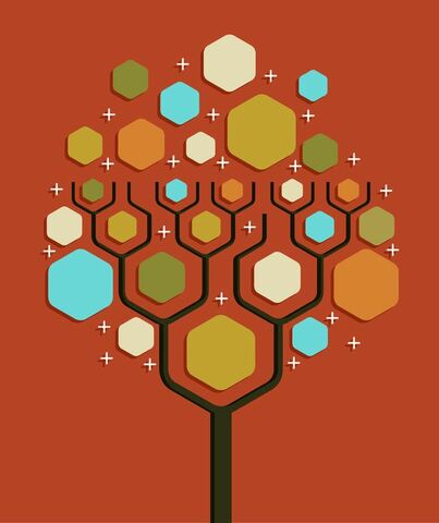 Áreas de conocimientos especiales y sus habilidades (Cogan)