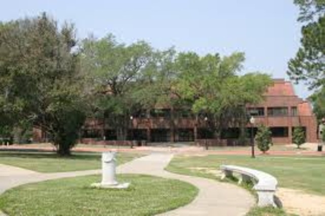 Graduated from FSU with MSLIS