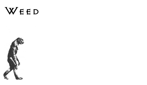 ¿Qué es la profesión?