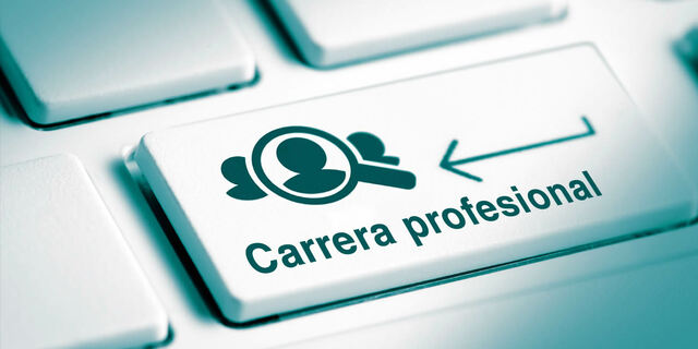 Carrera profesional