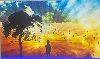 The (American) Enlightenment