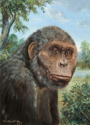Ardipithecus ramidus ( 4,4 millones de años )
