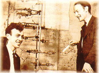 Azido nukleikoaren aurkikuntza