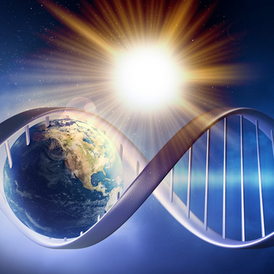 Timeline: Origen de la vida