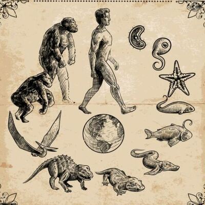 Timeline: Orígen de la vida