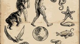 Timeline: Orígen de la vida