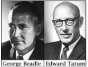 Beadlen eta Tatumen Nobel Sariak