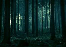 the forbiden forest