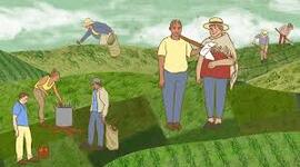 Timeline: historia de los campesinos