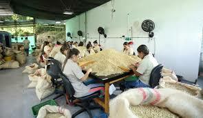 la organización Unidad Cafetera