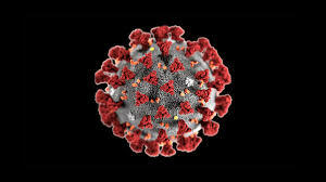 Coronavirus (COVID19)