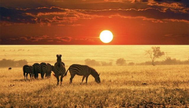 Chapter 6 - 3 events.