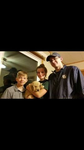 Got A Golden Retriever