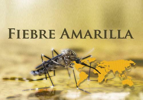 FIEBRE AMARILLA