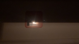 Timeline: Ourstory 2020 - Erica