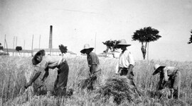Timeline: De profesión Segador