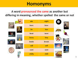 Homonyms