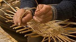 Timeline: Linea del tiempo CCSS