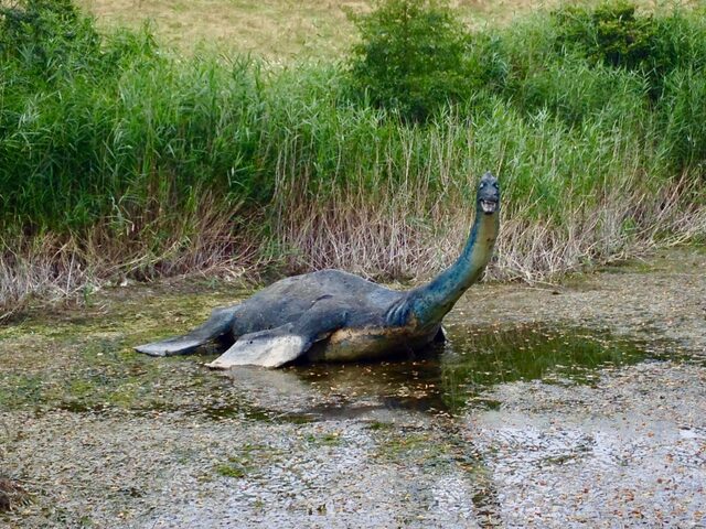 "The cocodrile in Lake Ness"