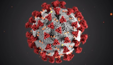 First American Dies of Coronavirus