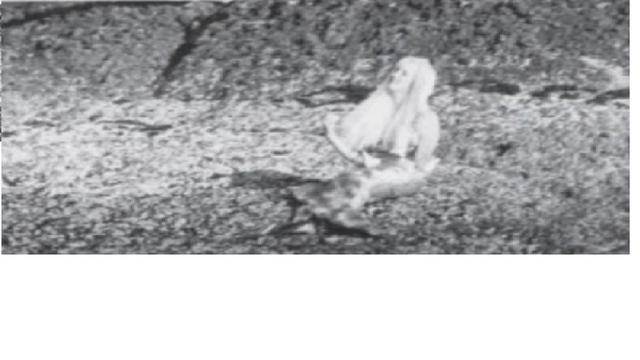 British Columbia, Canada