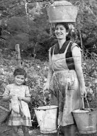 Aparición del baño de zinc y de la rodilla