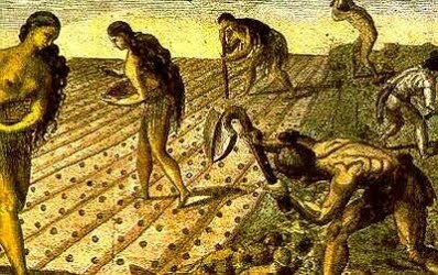 explotación colonial