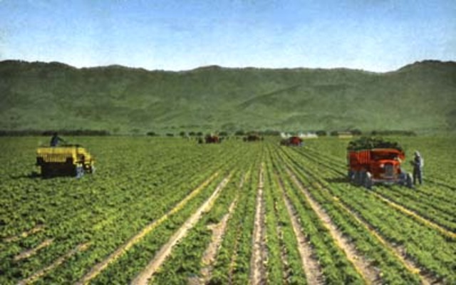 Agricultural Revolution